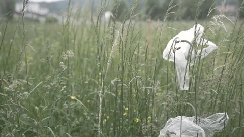 Plastic trash on the grass. Plastic bags lie on the grass and flutter in the Stock Footage 242091401
