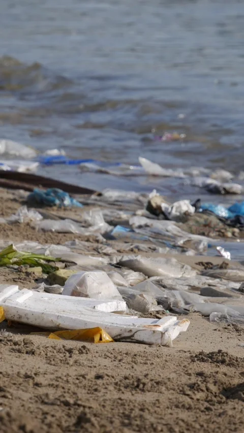 Plastic trash, including bags and bottles, scattered on a sandy beach by calm se Stock Footage 346245584