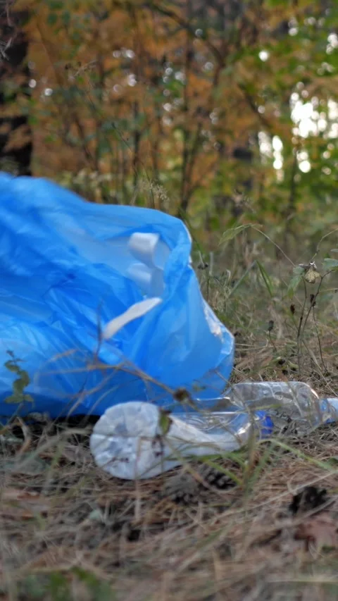 Plastic Trash Lands Beside Empty Clear Bottle On Dry Grass Inside Serene Video stock 346989313