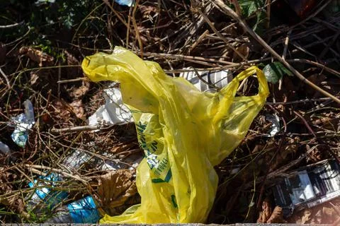 Plastic trash in nature. Concept bottle and plastic bag waste rubbish in nature Stock Photos