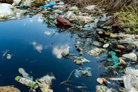 Plastic trash in the river, environment pollution 库存照片