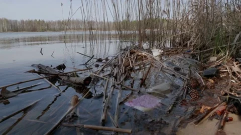 Plastic trash in the river. Stock Footage 130424441