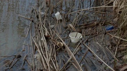 Plastic trash in the river. Stockbeeldmateriaal 130424655