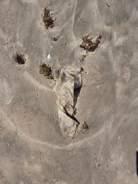 Plastic trash in the sand Stock Photos