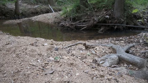 Plastic Trash by Stream Stock Footage 106952373