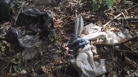 Plastic trash thrown out in the forest in nature. The problem of environmental Stock Footage 283393919