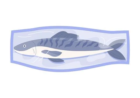 Plastic tray with trout, top view of white plate with film wrap and fish Illustrazione stock