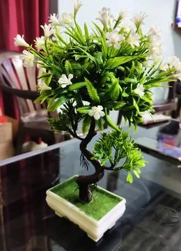 Plastic tree on a table top Stock Photos