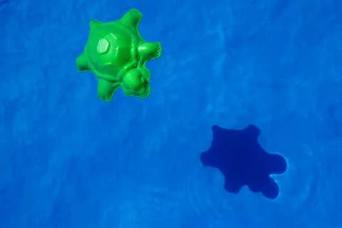 Plastic turtle on the water Stock Photos