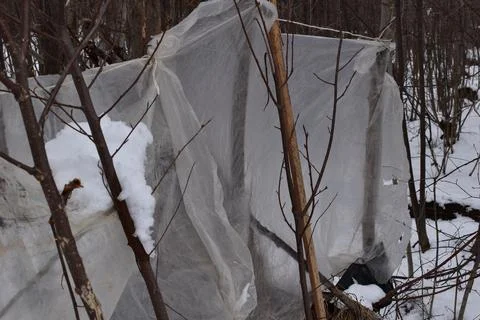 Plastic wall in the forest Stock Photos