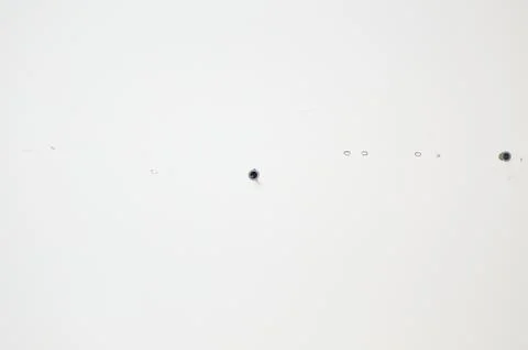 Plastic wall screw plug Stock Photos