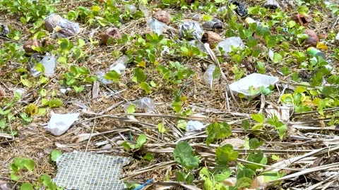 Plastic Waste and Garbage Littering a Tropical Beach in Phuket Thailand 動画素材 328561777