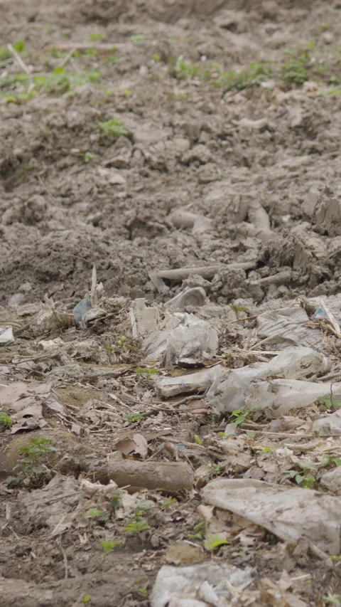 Plastic Waste And Garbage Littering Forest Floor Soil Stock Footage 332949355