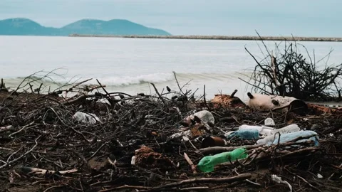Plastic waste and garbage polluting the sea shore Video stock 328102943