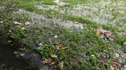 Plastic Waste and Garbage Scattered in Rice Fields and Roadsides Stock Footage 304654479