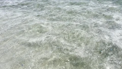 Plastic waste and microplastic debris polluting ocean water surface Stock Footage 333696890