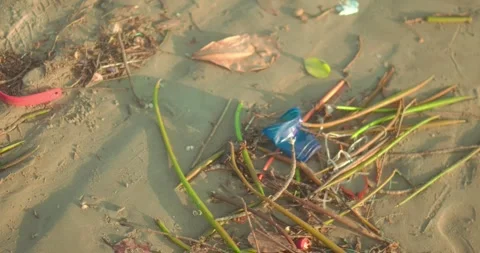 Plastic waste and microplastic pollution on Miramar beach in Panjim Goa during Stock Footage 336647605