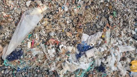Plastic waste and microplastics cover the beach, causing severe ecological .. 스톡 사진