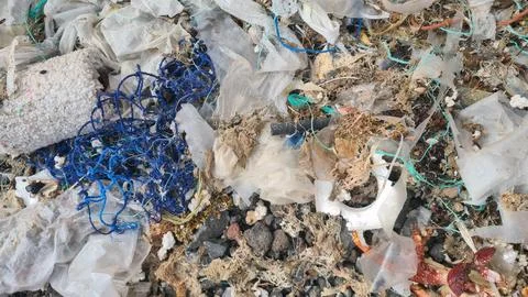 Plastic waste and microplastics cover the beach, causing severe ecological .. 스톡 사진