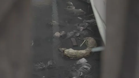 Plastic Waste and Pollution in Khlong Toei Slum Canal, Bangkok Stock Footage 335436995