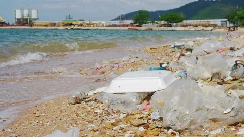 Plastic waste and trash on the beach. Stock Footage 111545975