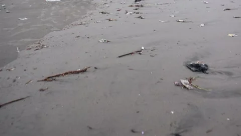 Plastic waste on beach sand. Stock Footage 228504209
