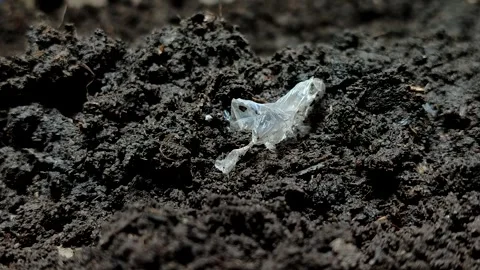 Plastic waste buried in the soil Stock Footage 322149404