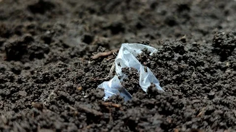 Plastic waste buried in the soil Stock Footage 322149411