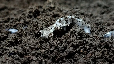 Plastic waste buried in the soil Stock Footage 322149412