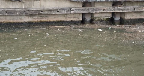 Plastic waste in the Chicago River Stock Footage 109244896