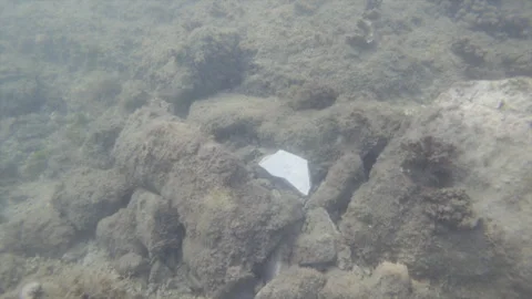 Plastic waste contaminating the underwater environment, showing ecological Stock Footage 343094768