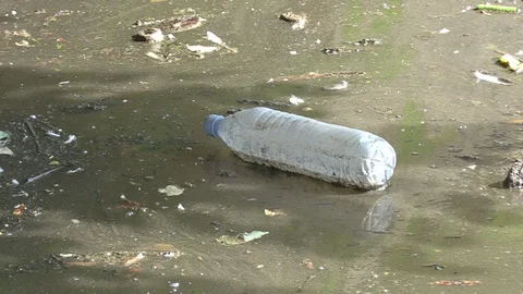 Plastic waste debris and garbage floating in lake water at Toronto harbour Stock Footage 120969980