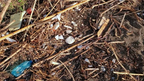 Plastic waste dump on dirty ocean coast polluted ecosystem after sea storm Video stock 145223181