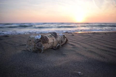 Plastic waste dumped on the beach Stock Photos
