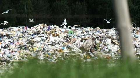 Plastic waste dumping site. Great rubbish dump, environmental problems. Garbage Stock Footage 113085840