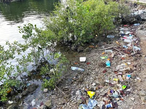 Plastic waste. environmental pollution Stock Photos