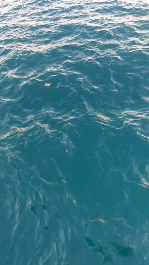 Plastic Waste Floating on Blue Sea Water Marine Pollution. Stock Footage 346356069