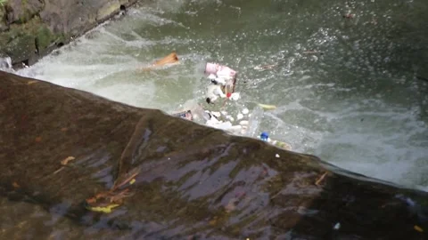 Plastic waste floating in a river. Plastic waste Stock Footage 306031092