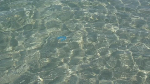 Plastic Waste Floating in the Sea Water Pollution Close Up Stock Footage 345812275