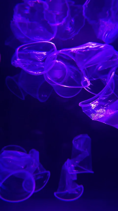 Plastic waste floating in water. Ocean plastic Pollution concept Stock Footage 277690571