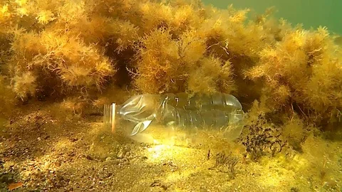 Plastic waste Stock Footage 96383978