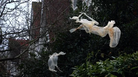 Plastic waste Stock Footage 125738781