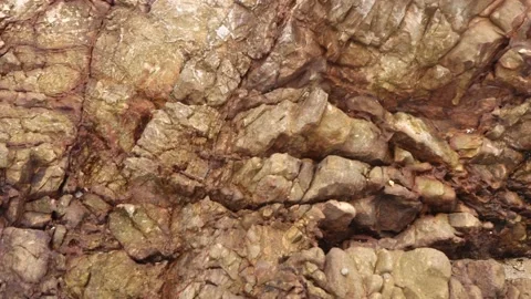 Plastic waste Stock Footage 164145981