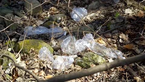 Plastic waste in a forest between trees Stock Footage 236903491