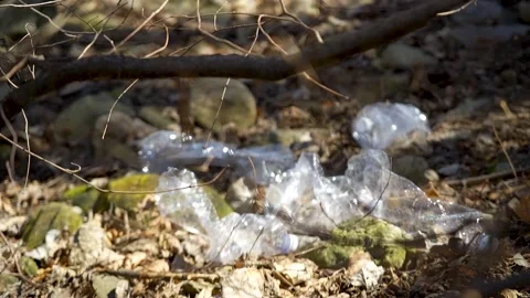 Plastic waste in a forest between trees Stock Footage 236903628
