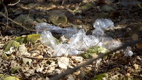 Plastic waste in a forest between trees 스톡 동영상 236903637