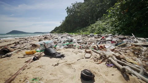 Plastic Waste Found On Sandy Beach. Plastic Bottles, Bags Video stock 333374750