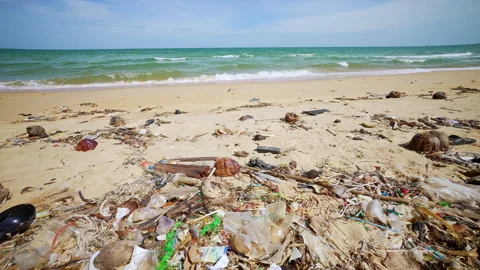 Plastic Waste Found On Sandy Beach. Plastic Bottles, Bags, And Other Debris Video stock 343633836