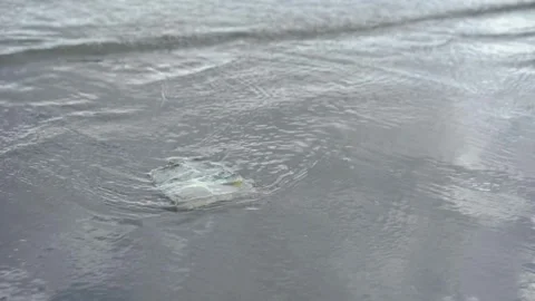 Plastic waste garbage Point into trash beach rubbish. Stock-Footage 334660350