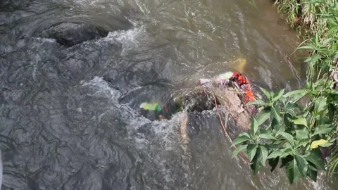 Plastic waste gets stuck in rivers. Stock Footage 273047198